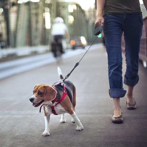 Idepet Heavy Duty Retractable Dog Leash Steel Chain 16ft Pet Leashes