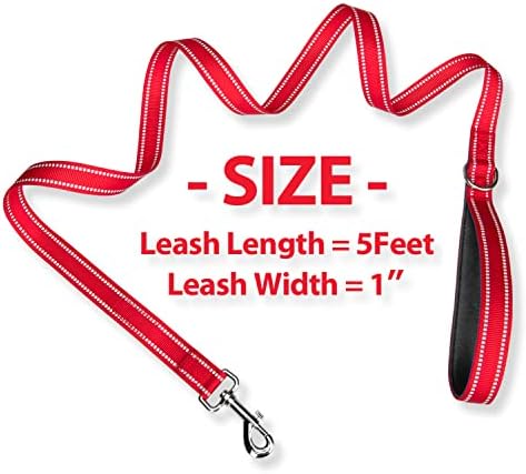 PHOEPET 5 Feet Dog Leash - Dual-Side Reflective - Soft Padded Handle