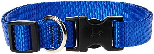 LupinePet Basics 3/4" Blue 15-25" Adjustable Collar for Large Dogs