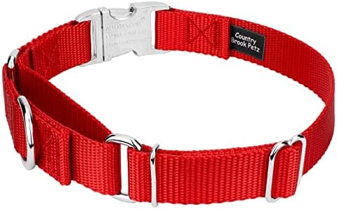 Country Brook Petz - Martingale Dog Collar - Heavy Duty Nylon Adjustable Martingale Dog Collar with Metal Buckle for Small Medium Large Breeds - 30+ Color Options (3/4 Inch, Small, Bright Red)