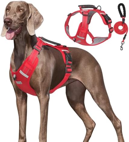 Dog Harness No Pull Adjustable Reflective,for Medium and Large Small Dog with Leash 59.06in (Red, S)