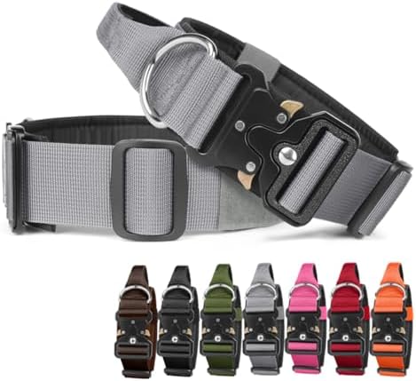 Tactical Dog Collar with Handle (Grey, M)
