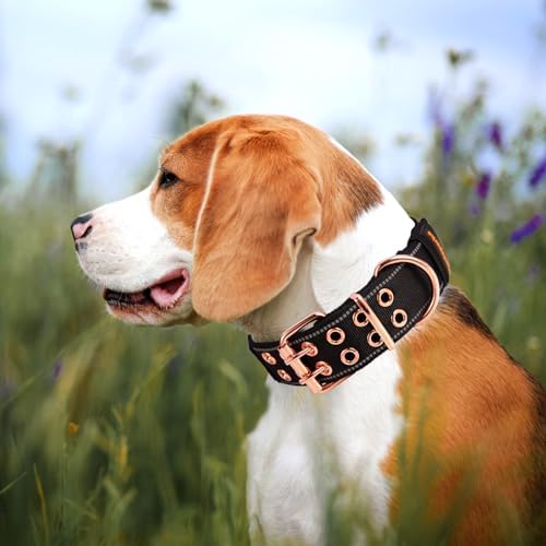 Heavy Duty Dog Collar for Medium Large Dogs,Black,Medium