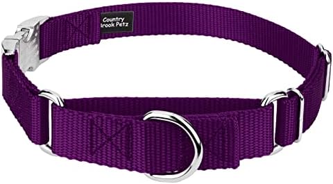 Country Brook Petz - Martingale Dog Collar - Heavy Duty Nylon Adjustable Martingale Dog Collar with Metal Buckle for Small Medium Large Breeds 30+ Color Options (3/4 Inch, Small, Purple)