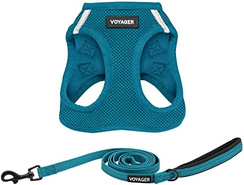 Best Pet Supplies Voyager Step-in Air All Weather Mesh Harness and Reflective Dog 5ft Leash Combo with Neoprene Handle, for Small, Medium and Large Breed Puppies - Turquoise, Small