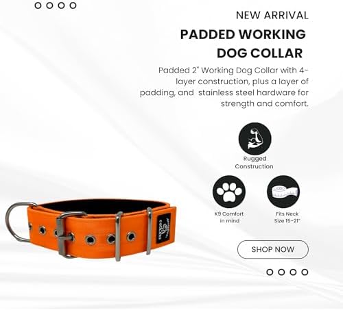 SparkDog Padded Working Dog Collar (Bright Orange, 2" Padded (16-21" Neck)