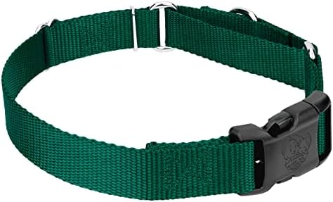 Martingale Dog Collar - Heavy Duty Nylon Adjustable Martingale Dog Collar with Plastic Buckle for Small Medium Large Breeds - 30+ Colors (1 Inch, Extra Large, Green)