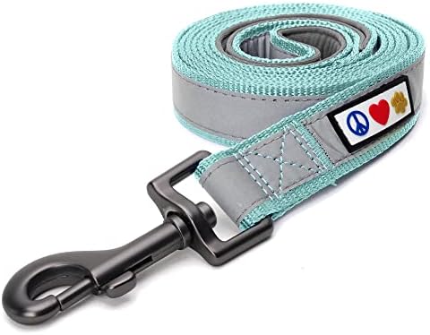Pawtitas Teal Dog Leash 6 ft Custom ID Lead for Dogs & Puppies Reflective Comfortable Padded Handle Embroidered Name & Phone Number