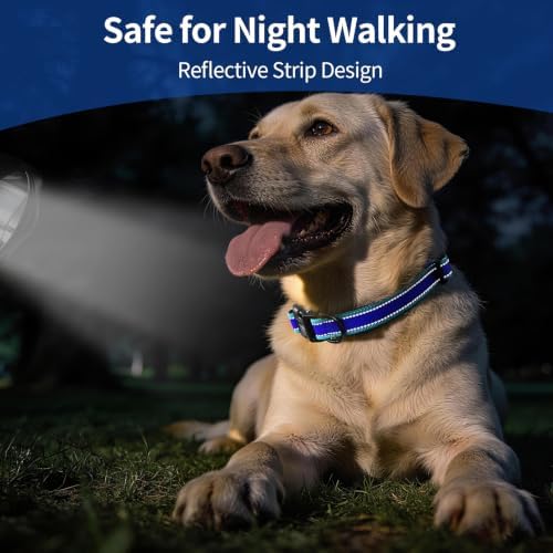 Kazazoo Small Dog Collar,Reflective Puppy Collar with Soft Padding Dog Collar No Pull,Lightweight, Nylon Collar for Puppies, Chihuahua, Yorkie & Teacup Dog 3-10 Lbs Blue-XS