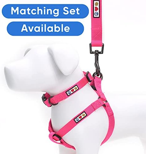 Pawtitas Solid 6 ft Pink Dog Leash XS/S Custom Name and Phone Embroidery Strong Nylon Leash for Small Breeds