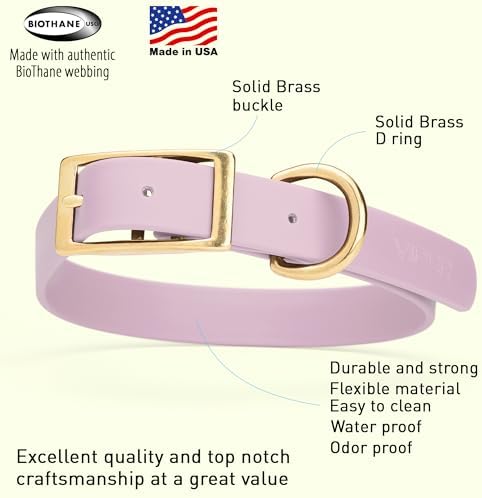Viper Biothane Heavy Duty Waterproof Dog Collar Strong Coated Nylon Webbing w/Solid Brass Hardware Odor-Proof for Easy Care to Clean High Performance Fits Small Medium or Large Dogs, Pastel Purple