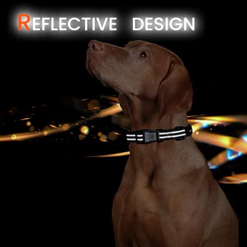 Personalized Dog Collar with QR Code Dog Tag, Black M