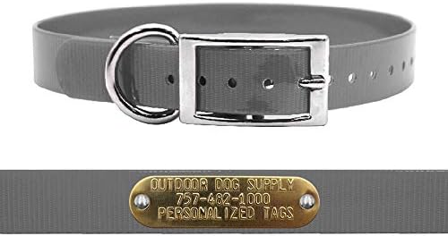 Heavy Duty Waterproof D-Ring Dog Collar w Custom Name Tag, Silver 18"