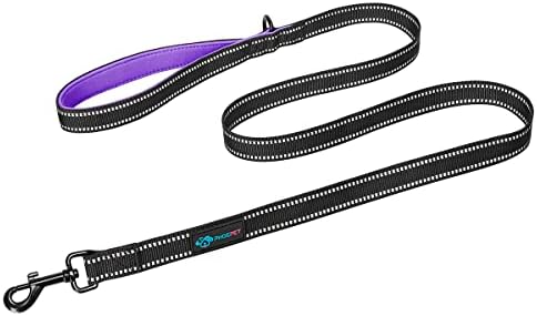 PHOEPET 5 Feet Heavy Duty Dog Leash - Reflective - Soft Padded Handle