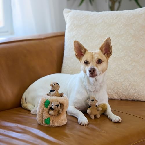 Outward Hound Hide-A-Squirrel Plush Squeaky Dog Toy, Small, 5" x 7"