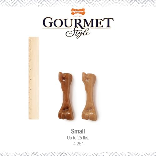 Nylabone Strong Chew Gourmet Style Dog Chew Toy, Small, 2 Count