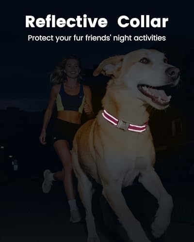 Silent Dog Collar Personalized with Name Phone Number Laser Engraved