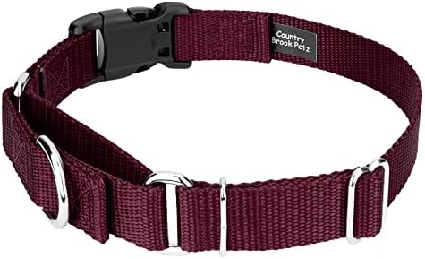 Martingale Dog Collar - Heavy Duty Nylon Adjustable Martingale Dog Collar with Plastic Buckle for Small Medium Large Breeds - 30+ Colors (3/4 Inch, Small, Burgundy)