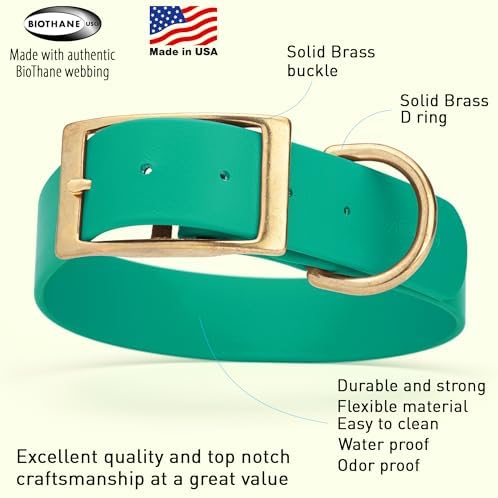Viper Biothane Heavy Duty Waterproof Dog Collar Strong Coated Nylon Webbing w/Solid Brass Hardware Odor-Proof Easy to Clean High Performance Fits Small Medium or Large Dogs, Teal