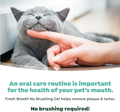 TropiClean No Brush Cat Toothpaste, Easy to Use Cat Dental Care, 2oz