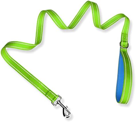 PHOEPET 5 Feet Dog Leash - Dual-Side Reflective - Soft Padded Handle
