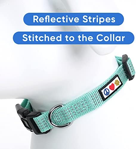 Pawtitas Reflective Dog Collar for X-Small Dogs – Adjustable Nylon Puppy Collar with Quick-Release Buckle | Fits Neck 8–13 in | Night Safety Training Collar | XS | Teal
