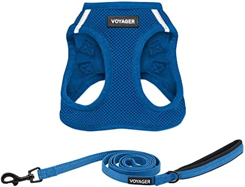 Best Pet Supplies Voyager Step-in Air All Weather Mesh Harness and Reflective Dog 5ft Leash Combo with Neoprene Handle, for Small, Medium and Large Breed Puppies - Royal Blue, X-Large
