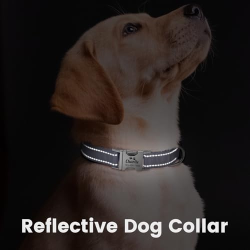 Silent Dog Collar Personalized with Name Phone Number Laser Engraved