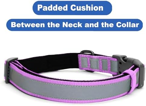 Pawtitas Personalized Dog Collar Reflective Dog Collar Padded Dog Collar with Name Phone Number Puppy Collar Adjustable Customized Collar for Medium Dogs Breeds | Customized Orchid Medium Dog Collar
