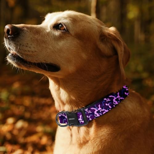 Kazazoo Medium Dog Collar, Reflective Nylon Collar,No Pull,Soft Neoprene Breathable & Quick Release Buckle Dog Collars for Bulldog,Husky,Border Collie Purple camo-M