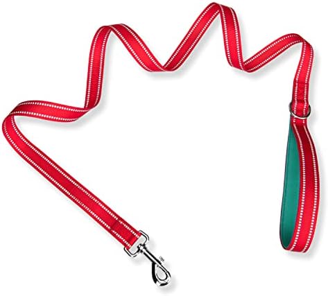 PHOEPET 5 Feet Dog Leash - Dual-Side Reflective - Soft Padded Handle