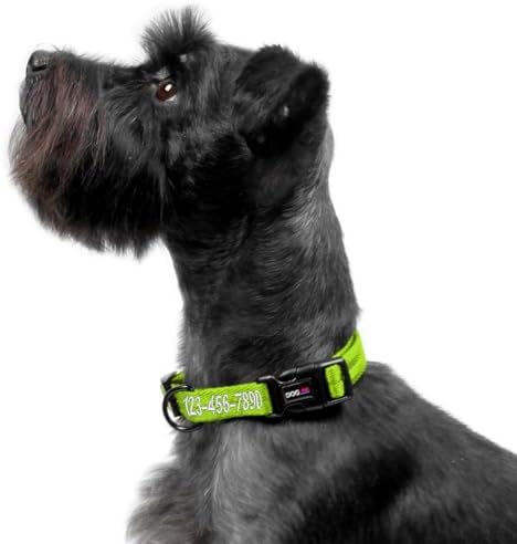 Dogline Lime Green Customizable Personalized Nylon Collar (W: 5/8" L: 11"-16")