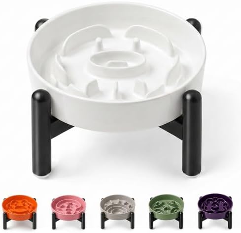 Elevated Slow Feeder Dog Bowl, 0.8 Cups Ceramic Raised Slow Feeder with Stainless Stand, 6.3 Inch Wide Lifted Dog Bowl for Small Breeds to Control Eating Speed, White