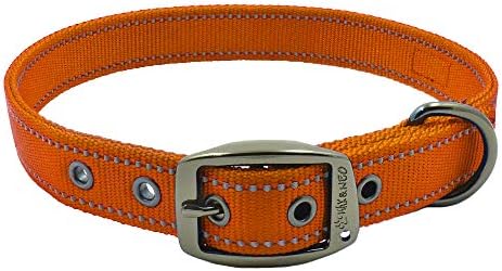 Max and Neo MAX Reflective Metal Buckle Dog Collar - We Donate a Collar to a Dog Rescue for Every Collar Sold (Small, Orange)