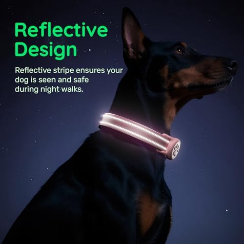 Premium Airtag Dog Collar，with IP68 Waterproof AirTag Holder,Pink,S