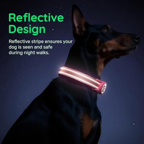 Premium Airtag Dog Collar，with IP68 Waterproof AirTag Holder,Hotpink,XL