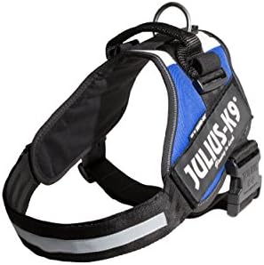 Julius-K9, 16IDC-FR-3, IDC Powerharness, Dog Harness, Size: 3, French Colours