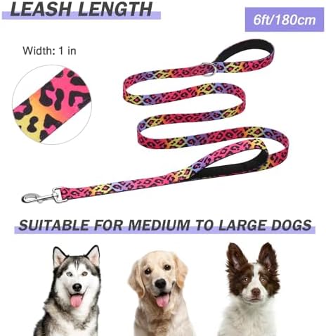 Hikiko 6FT Dog Leash Padded Double Handle with Designed Pattern
