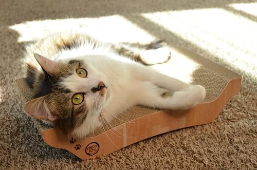 Necoichi Cardboard Cat Scratcher Couch for Indoor Cats - Cat Scratching Board, Horizontal Cat Scratch Pad Lounger with Reversible Usability and Extra Comfort for Lounge, Curved (17" Regular, Oak)