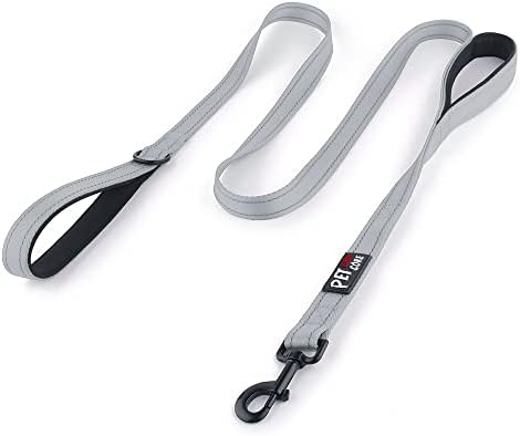 Plutus Pet Double Handle Dog Leash, 5 FT Long, for Medium Large Dogs