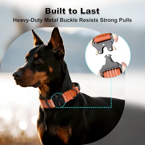 Plutus Pet Tactical Dog Collar with Pocket for AirTag, Orange, M