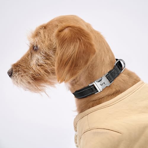 Silent Dog Collar Personalized with Name Phone Number Laser Engraved