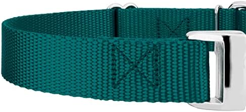 Country Brook Petz - Martingale Dog Collar - Heavy Duty Nylon Adjustable Martingale Dog Collar with Metal Buckle for Small Medium Large Breeds - 30+ Color Options (1 Inch, Extra Large, Teal)