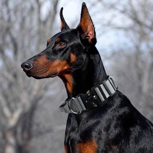 Tactical Dog Collar with Handle (Grey, M)