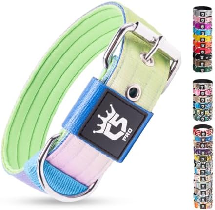TSPRO Heavy Duty Thick Dog Collar with Metal Buckle for Medium Dogs