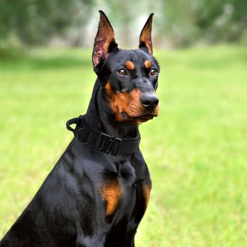 Tactical Dog Collar Leash Set,Adjustable Military Training Collar,Black XXL