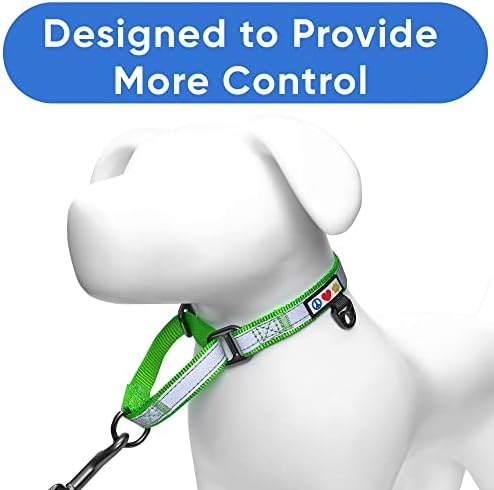 Pawtitas Customized Martingale Dog Collar Reflective Reflective Dog Collar Embroidered Personalized Name Phone Number Adjustable for Puppies Small Medium Large Size Dogs Medium Green
