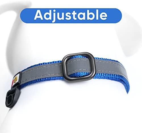 Pawtitas Blue Reflective Martingale Dog Collar, Large