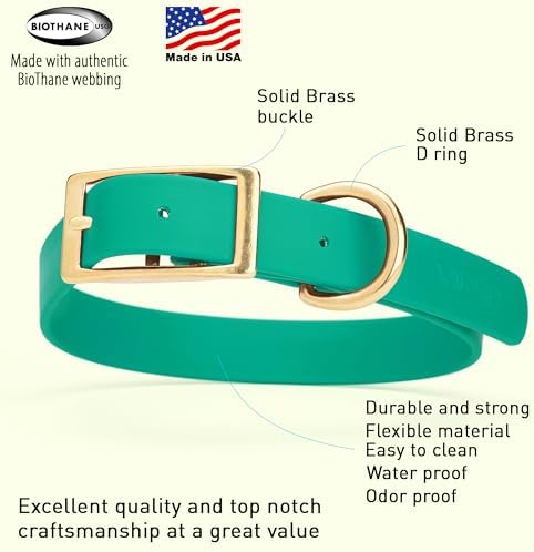 Viper Biothane Heavy Duty Waterproof Dog Collar Strong Coated Nylon Webbing w/Solid Brass Hardware Odor-Proof Easy to Clean High Performance Fits Small Medium or Large Dogs, Teal