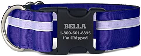 If It Barks Personalized 1.5" Striped Dog Collar - Engraved Name - Custom Size, Grape Crush